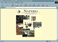 Nacional Financiera Boliviana NAFIBO