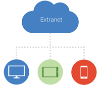 Extranet e Intranets